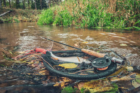 Fly fishing in a beautiful autumn stream.