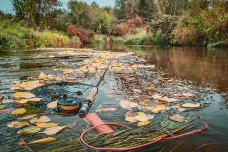 Fly fishing in a beautiful autumn stream.の写真素材