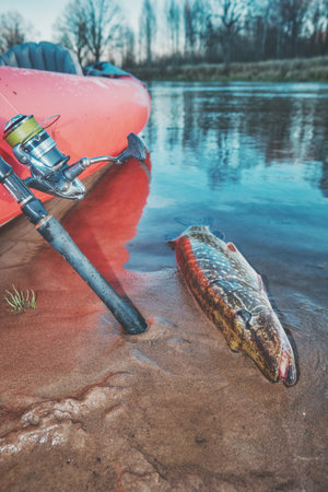 Fishing from a kayak on the autumn river.の写真素材