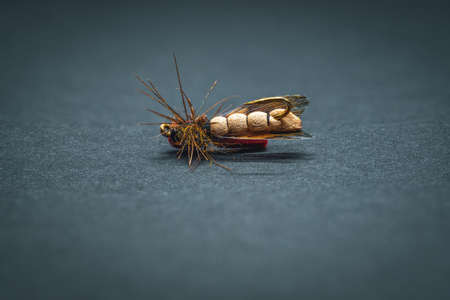 Handmade fishing fly close-up on a dark background.の写真素材