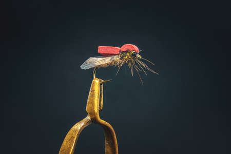Handmade fishing fly close-up on a dark background.の写真素材