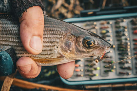 Fly box and fishing tackle on the river bank.の写真素材