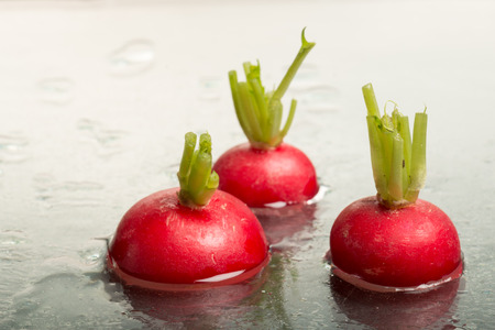 Tops of three red radishes on display, studio-shotの写真素材
