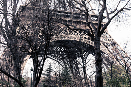 Detail of the Eiffel tower shot in between trees in Paris, Franceの写真素材