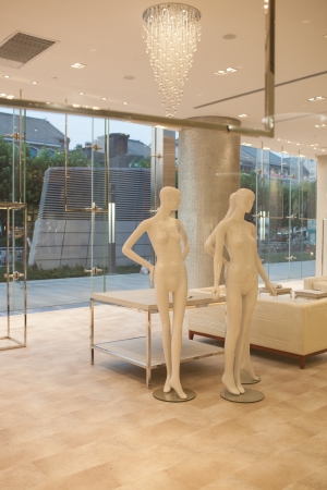 mannequin in showcase, no clothes, dummy の写真素材