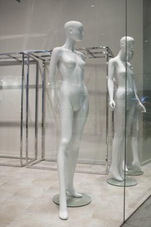 mannequin in showcase, no clothes, dummy の写真素材