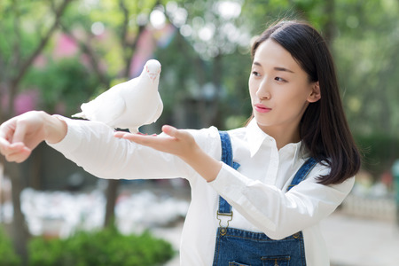 girl attempting to feed the pigeonの写真素材