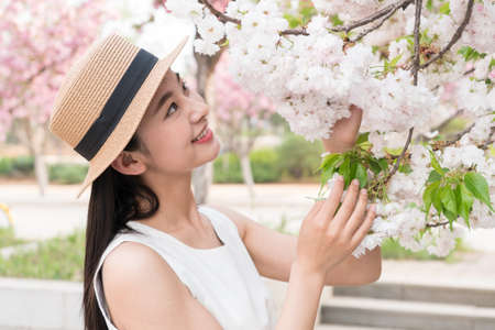 asian girl admiring beautiful cherry blossoms, springの写真素材
