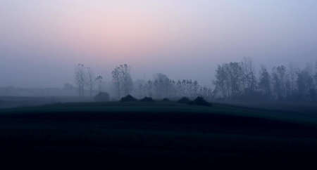 The landscape of the fields in the early autumn morning.の写真素材