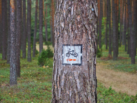 Bicycle route sign painted on a treeの写真素材