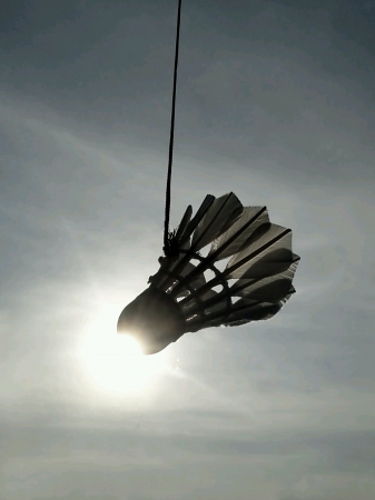 Shuttercock Silhouetteの素材