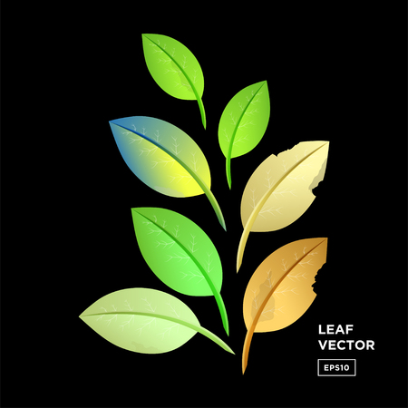 set leaf vector. collection of leaves.のイラスト素材