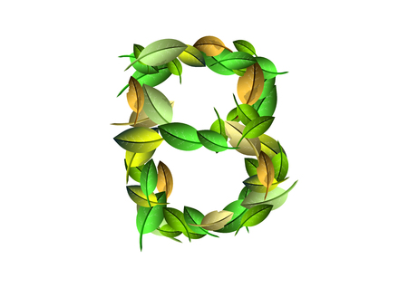 Vector alphabet letters B made from green leafsのイラスト素材