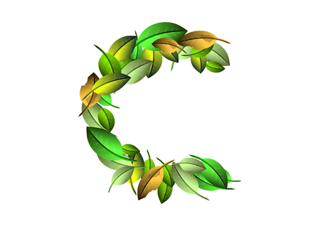 Vector alphabet letters C made from green leafsのイラスト素材
