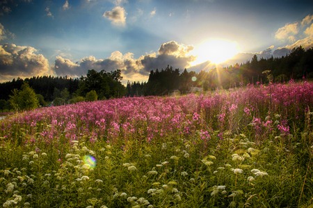 Valley in czech national park Giant mountain- Krkonose. The town with a lot of wooden huts in Spindleruv Mlyn. Czech nature is beautiful.の写真素材