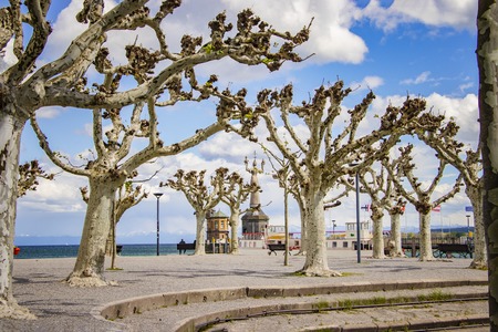 The city Constance on the Lake Constace, Bodensee. The view on the park with a lot of trees in the...