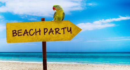Wooden sign on beautiful beach and clear sea wit text beach party. A green parrot sits on a pointer to a tropical paradise. There is summer time.の写真素材