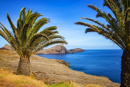 View of the bay in Ponta de Sao Lourenco, the island of Madeira, Portugal. There are rocky cliffs with palms and clear water of the Atlantic Oceanの写真素材