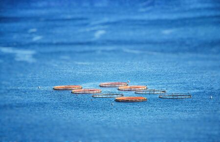 Fish ponds in Atlantic ocean near Madeira island, Portugal. The blue water of clear sea. It is...