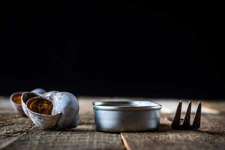 Snail shell and tin can on a wooden old table in an old kitchen