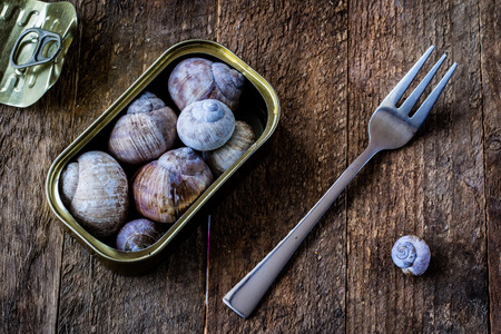 Snail shell and tin can on a wooden old table in an old kitchenの写真素材
