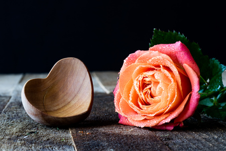 Wet rose on wooden table black backgroundの写真素材