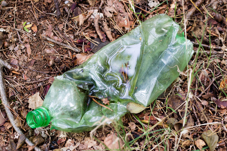 Plastic trash in the forest. Tucked nature. Plastic container lying in the grass. Season of autumn.の写真素材