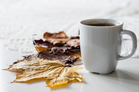 An autumnal day, a cup of tasty tea and cake. Next to dry maple leaves and beech. Kitchen table. White countertop.の写真素材
