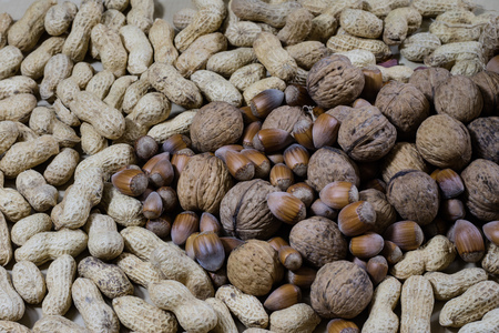 Fresh nuts in a jute bag on a wooden kitchen table. Italian hazelnuts in the kitchen before...
