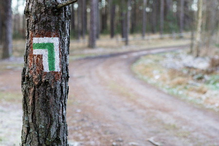 Marking of the tourist route. A tourist road sign on the bark of a pine tree. Forest in the winter.の写真素材