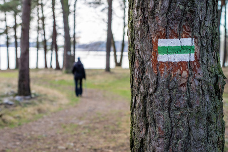 Marking of the tourist route. A tourist road sign on the bark of a pine tree. Forest in the winter.の写真素材