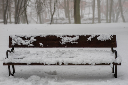A snow-covered bench in the park. A bench covered with snow by the path in the park. Season winter.の写真素材