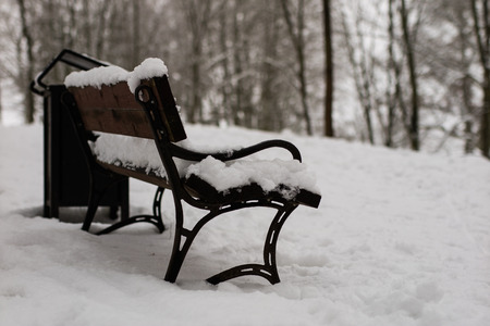 A snow-covered bench in the park. A bench covered with snow by the path in the park. Season winter.の写真素材