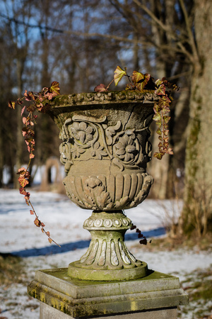 A garden pot standing in a park. Perennials and plants in a pot. Season winterの写真素材