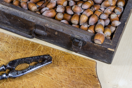 Tasty hazelnuts on a wooden kitchen table. Forest specialties and kitchen accessories. Dark background.の写真素材