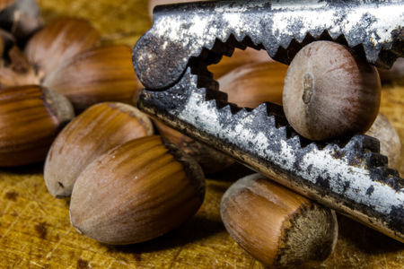 Tasty hazelnuts on a wooden kitchen table. Forest specialties and kitchen accessories. Dark background.の写真素材