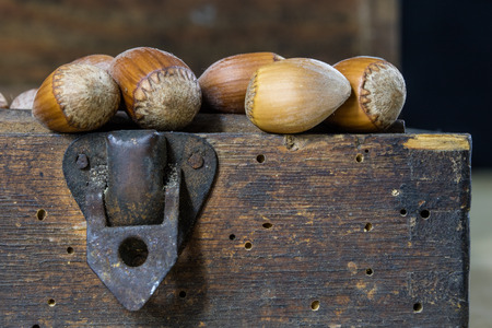 Tasty hazelnuts on a wooden kitchen table. Forest specialties and kitchen accessories. Dark background.の写真素材