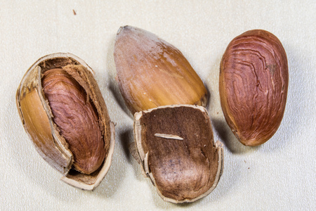 Tasty hazelnuts on a wooden kitchen table. Forest specialties and kitchen accessories. Dark...