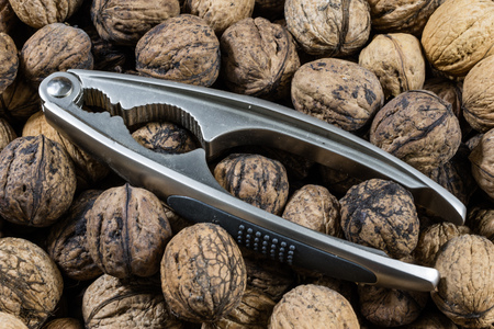 Walnuts on a wooden kitchen table. Nuts and a black wooden crate with a nutcracker. Black...