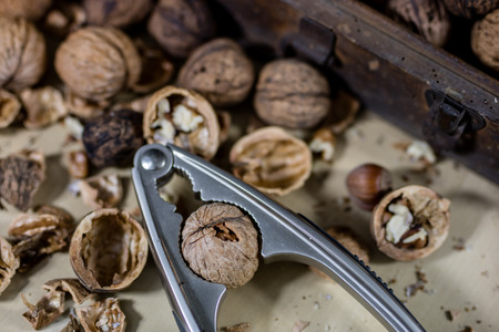 Walnuts on a wooden kitchen table. Nuts and a black wooden crate with a nutcracker. Black background.の写真素材