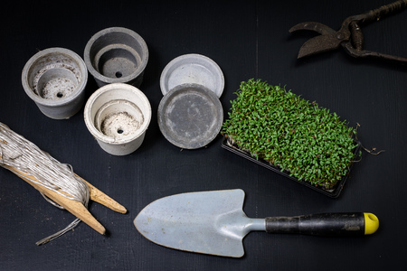 Land for flowers, a flowerpot and flowerpot during transplanting. Garden accessories used for housework. Season of the early spring.の写真素材