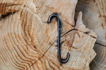 Staples used for wood logs. Accessories for securing wood in the forest. Season of the spring.の写真素材