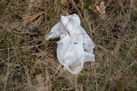 Garbage recovered in the forest. Leftover waste on a forest meadow. Season of the summer.の写真素材