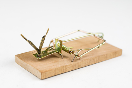 A mousetrap and a butterfly sitting on it. Insect trap for metaphors. White background.の写真素材