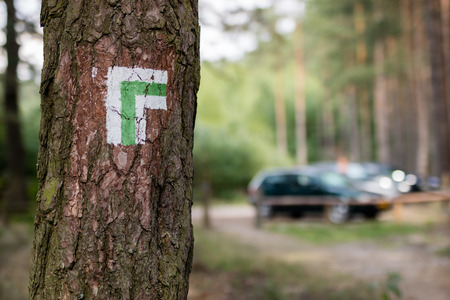 A sign painted on a tree in the forest. Marking of the tourist route. Season of the summer.の写真素材