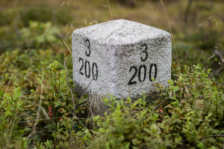 White stone pillar set in the forest. Marks of forest branches needed for field browsing. Season of...