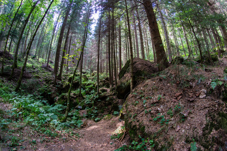 Rock town in central europe. A trail leading in a mountainous area. Season of the summer.の写真素材