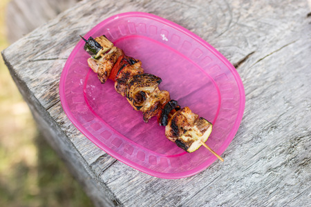 Tasty shashlik on a plate and bread. Grilled delicacies for a party in a home garden. Season of the...