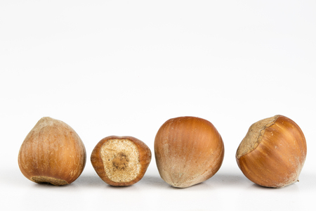 Hazelnuts in shell on a kitchen table. Hazel fruit as an addition to kitchen dishes. White background.の写真素材