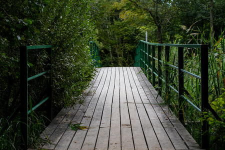 Bridge across the river in the forest. Autumnal scenery in the park. Season of the autumn.の写真素材